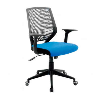 Silla lacio
